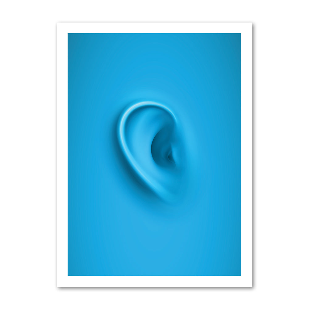 Blue_ear