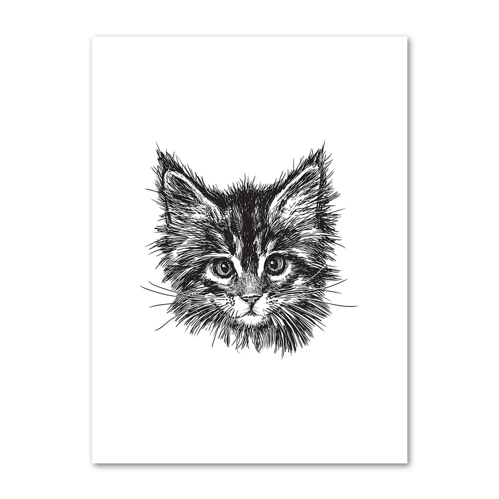 Kitty