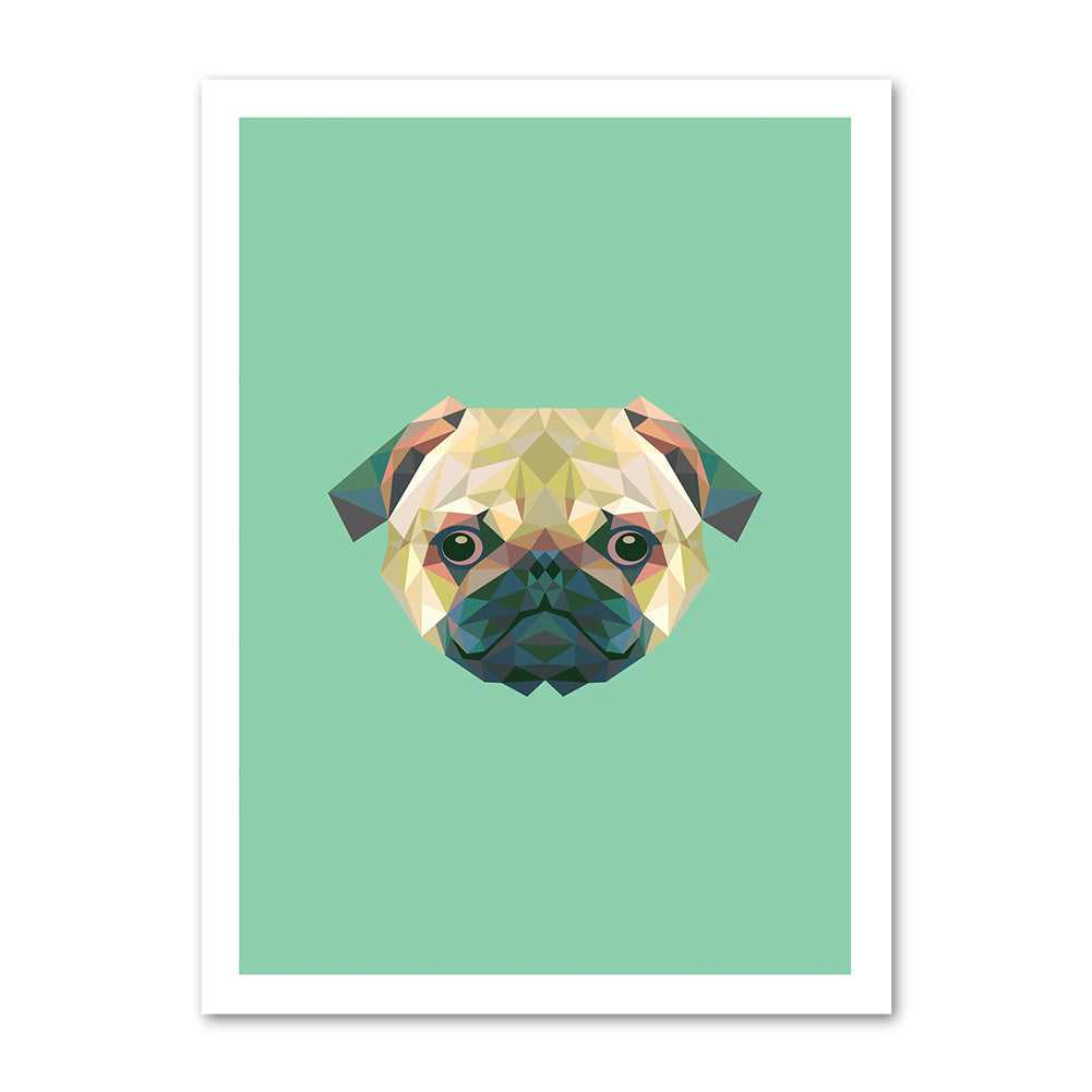 Pug