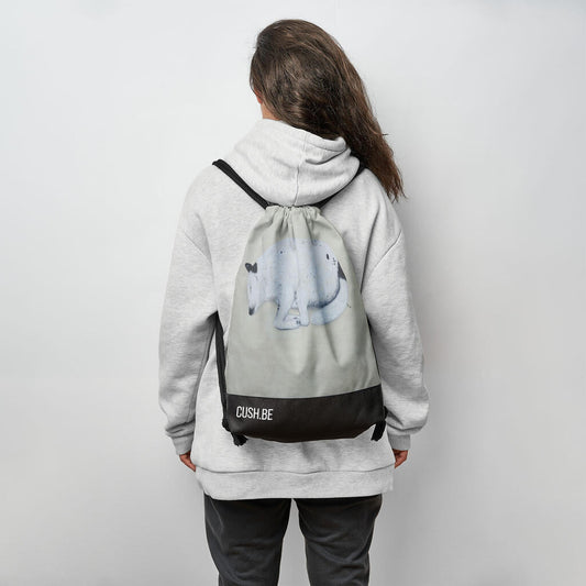 Мешка A dog on the beach