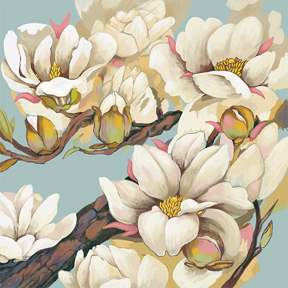 Magnolia