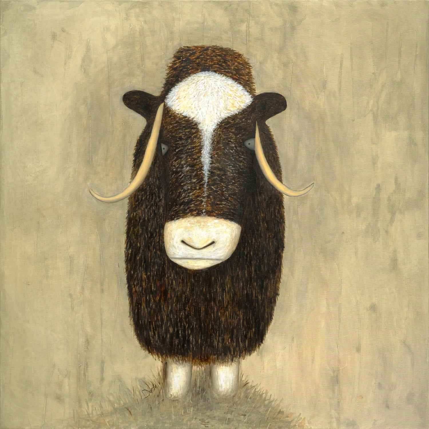 Musk Ox