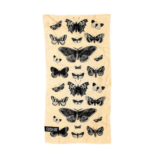 Butterflies_in_the_night