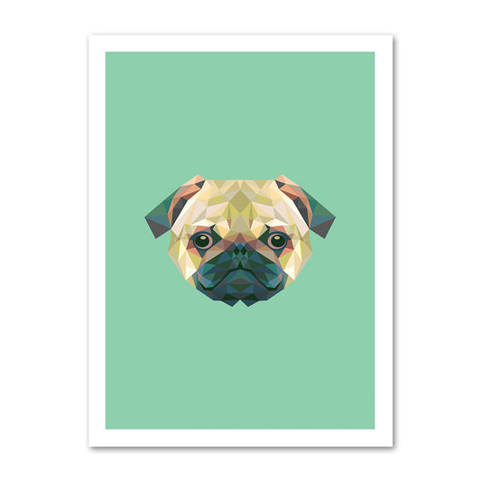 Pug