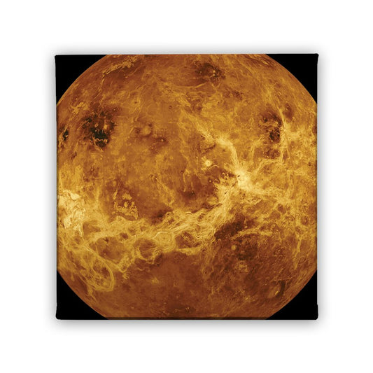 Картина Цяла Венера